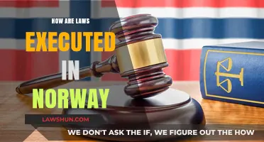 Understanding Norway's Legal System: A Guide to Law Execution