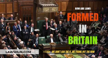 The Legislative Journey: How Laws Take Shape in Britain