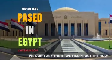Understanding Egypt's Legislative Process: A Step-by-Step Guide