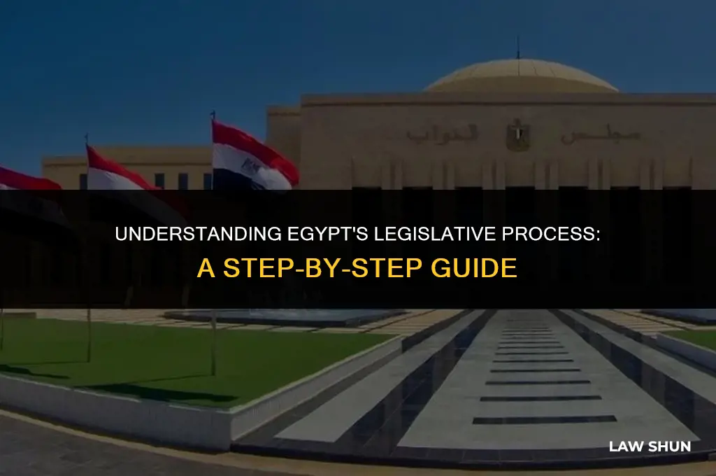 how are laws pased in egypt