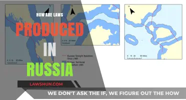 Understanding the Legislative Process in Russia: A Comprehensive Guide
