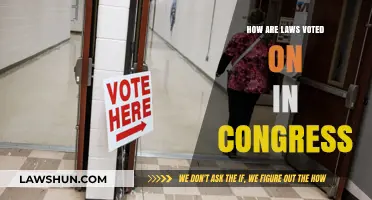 Understanding the Congressional Voting Process: How Laws Are Passed