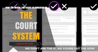 Media Law Cases: Adjudication in the Court System