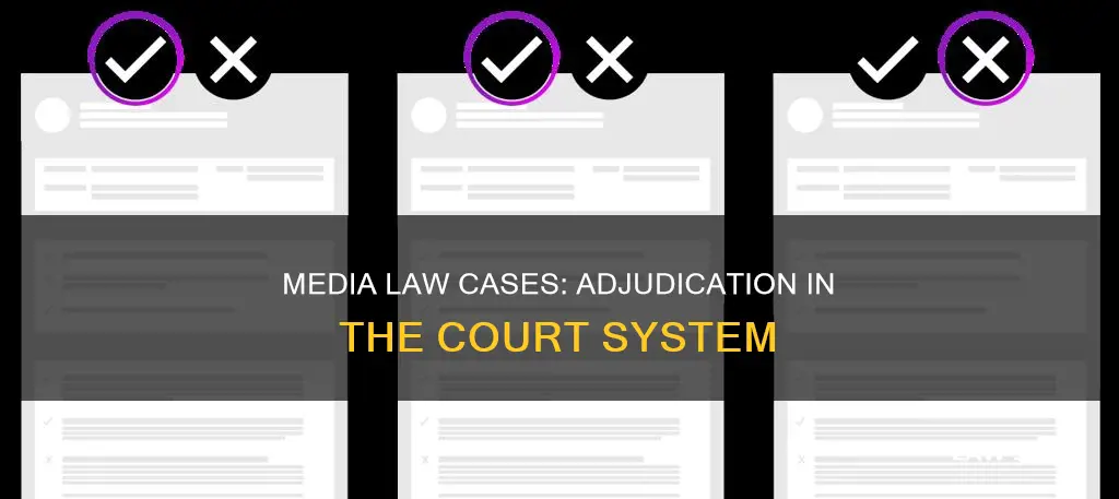 how are media law cases adjudicated in the court system