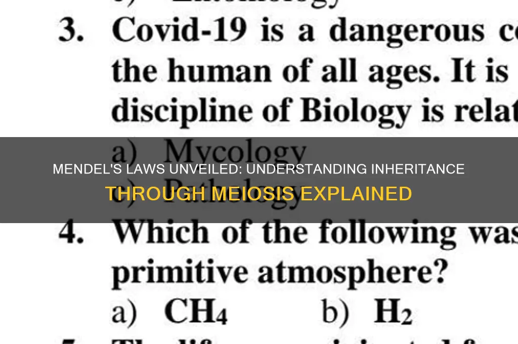 how are mendel