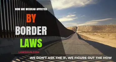 Border Laws' Impact: How Mexican Lives and Communities Are Affected