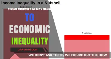 Minimum Wage Laws: Impact on Economic Inequality Explained