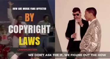 Copyright Laws and Music Fans: Impact, Challenges, and Future Implications