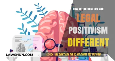 Natural Law vs Legal Positivism: Key Differences Explained