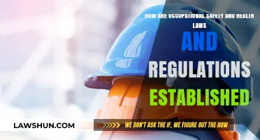 Establishing Occupational Safety and Health Laws: A Comprehensive Regulatory Process