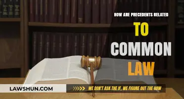 Precedents and Common Law: A Dynamic Duo