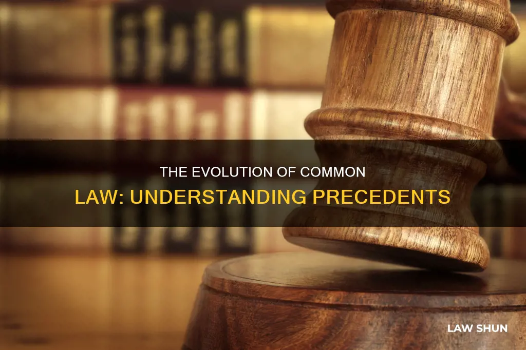 how are precednts related to common law