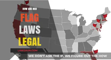 Understanding Red Flag Laws: A Comprehensive Legal Analysis