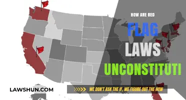 Challenging Red Flag Laws: A Constitutional Analysis