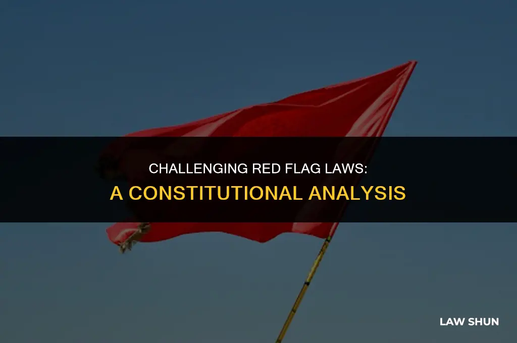 how are red flag laws unconstitutional