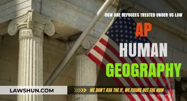 US Refugee Treatment: Legal Frameworks and Human Geography Perspectives