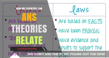Understanding the Connection Between Scientific Laws and Theories