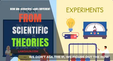 Scientific Laws vs Theories: What's the Difference?