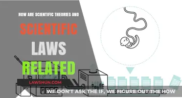 Understanding the Connection: Scientific Theories vs. Laws Explained