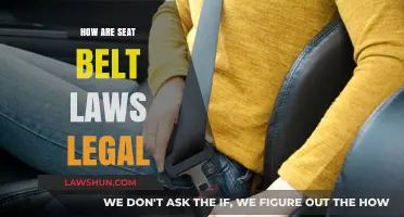 Understanding the Legal Framework Behind Seat Belt Laws