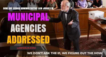 Addressing Senior Administrative Law Judges: Etiquette in Municipal Agencies