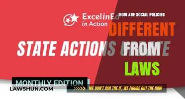 Social Policies vs Laws: What's the Difference?