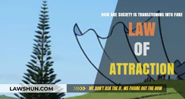 The Illusion of Positivity: Society's Shift to a Fake Law of Attraction