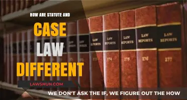 Statute and Case Law: Two Distinct Legal Faces