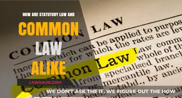 Statutory and Common Law: Similarities and Shared Goals