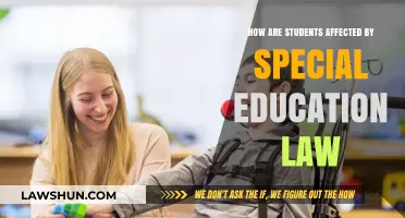 Special Education Law: Impact on Students' Learning and Rights