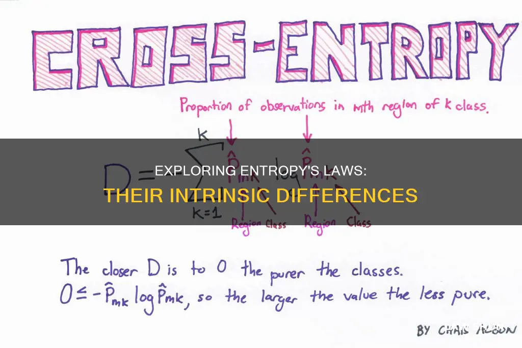 how are the 2 laws of entropy different