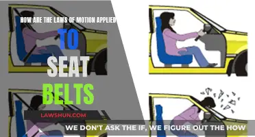 The Laws of Motion: Saving Lives with Seat Belts