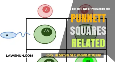 Probability Laws and Punnett Squares: Unraveling Genetic Predictions