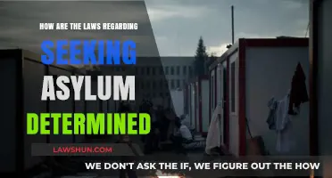 Understanding Asylum Laws: How Nations Determine Refugee Protection Policies