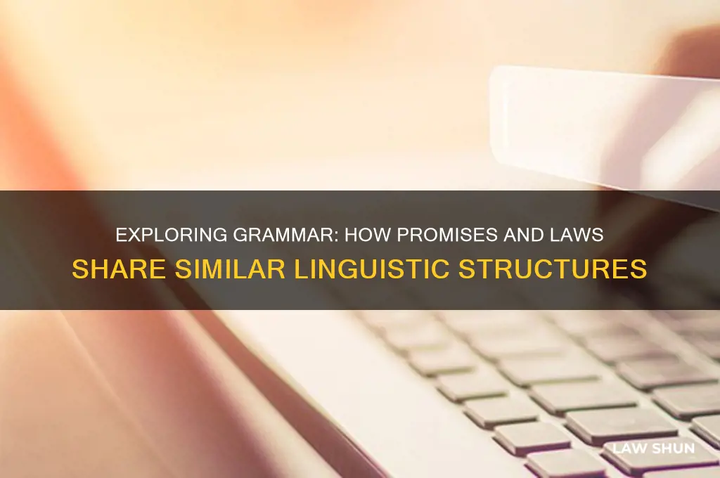 how are the promise and the law similar grammer check