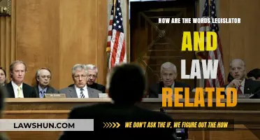 Legislator vs. Law: Understanding Their Interconnected Roles and Meanings