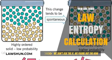 Unraveling the Mysteries of Third Law Entropy Calculations