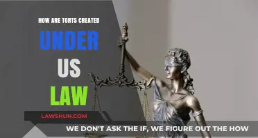 US Tort Law: How Are Torts Created?