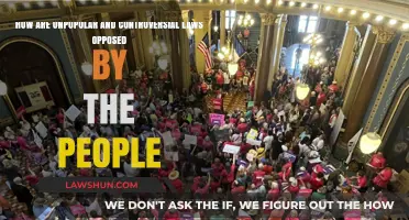 Resisting Unpopular Laws: Strategies for Public Opposition and Change