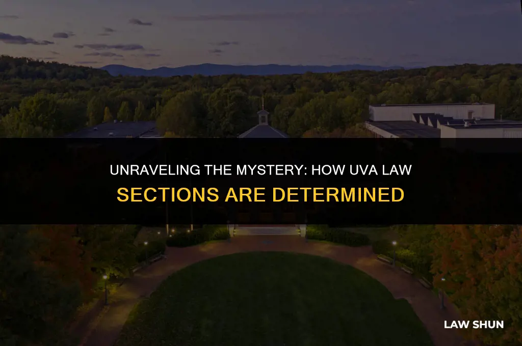 how are uva law sections determined