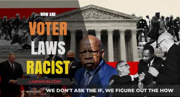 Voter Suppression Laws: Systemic Racism's Impact on Voting Rights