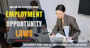 Equal Employment Opportunity Laws: How They Impact Your Workplace Rights