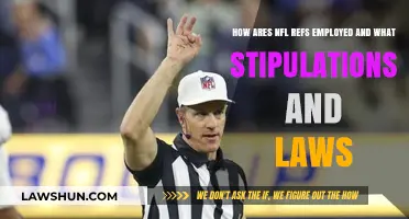 NFL Referees: Employment, Stipulations, and Legal Framework Explained