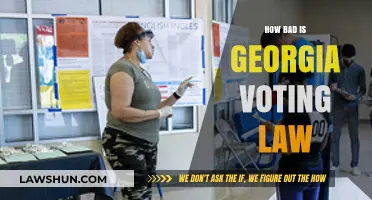 Georgia's Voting Law: A Threat to Democracy or Fair Reform?