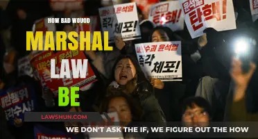 The Potential Pitfalls of Martial Law: A Critical Examination