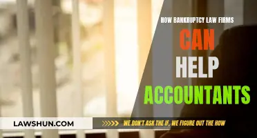 Bankruptcy Law Firms: Aiding Accountants in Financial Crisis