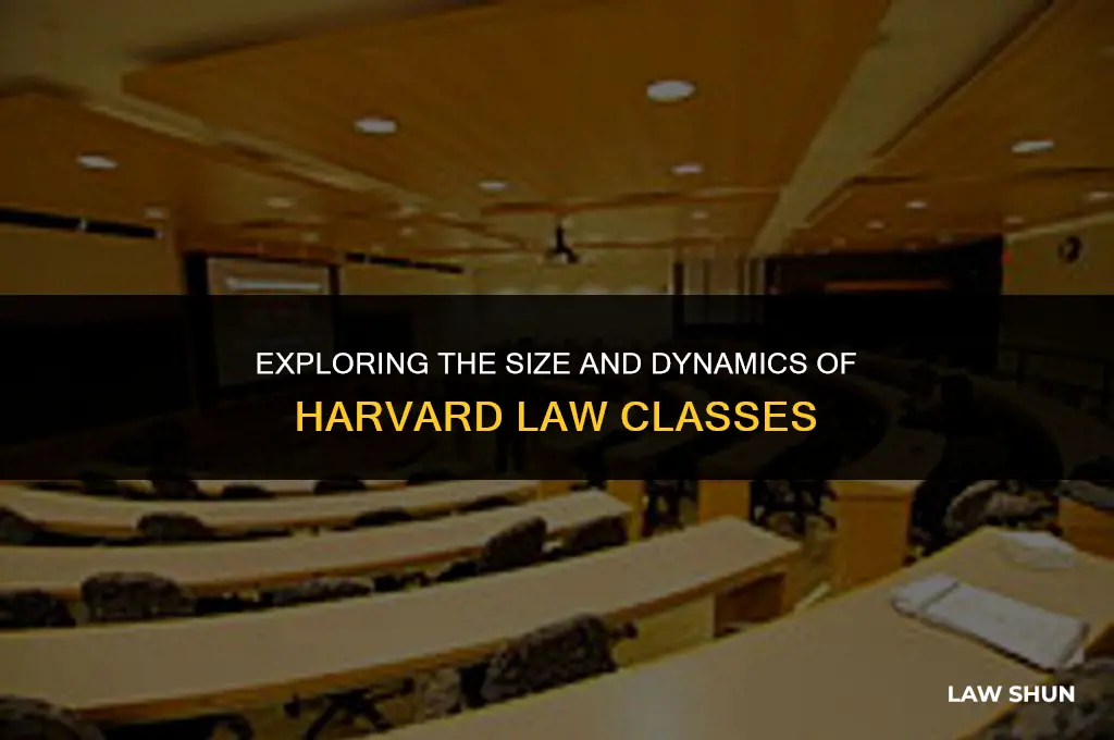 how big are harvard law classes
