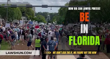 Florida's Protest Rights: Size and Legal Boundaries