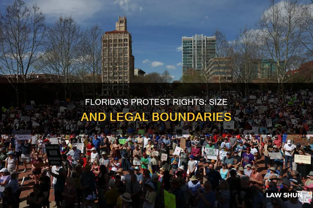 how big can lawful protest be in florida