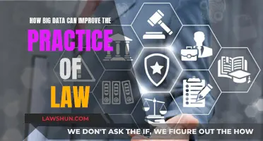 Big Data: Transforming the Legal Practice